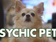 Are Animals Psychic?|Strange & Suspicious Television Program